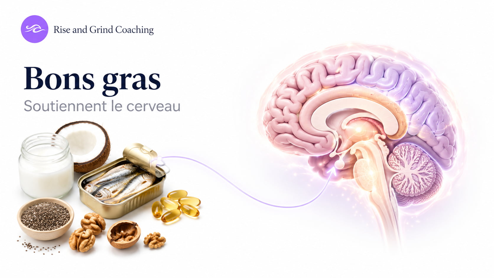 Café, sources de matières grasses et représentation du cerveau.